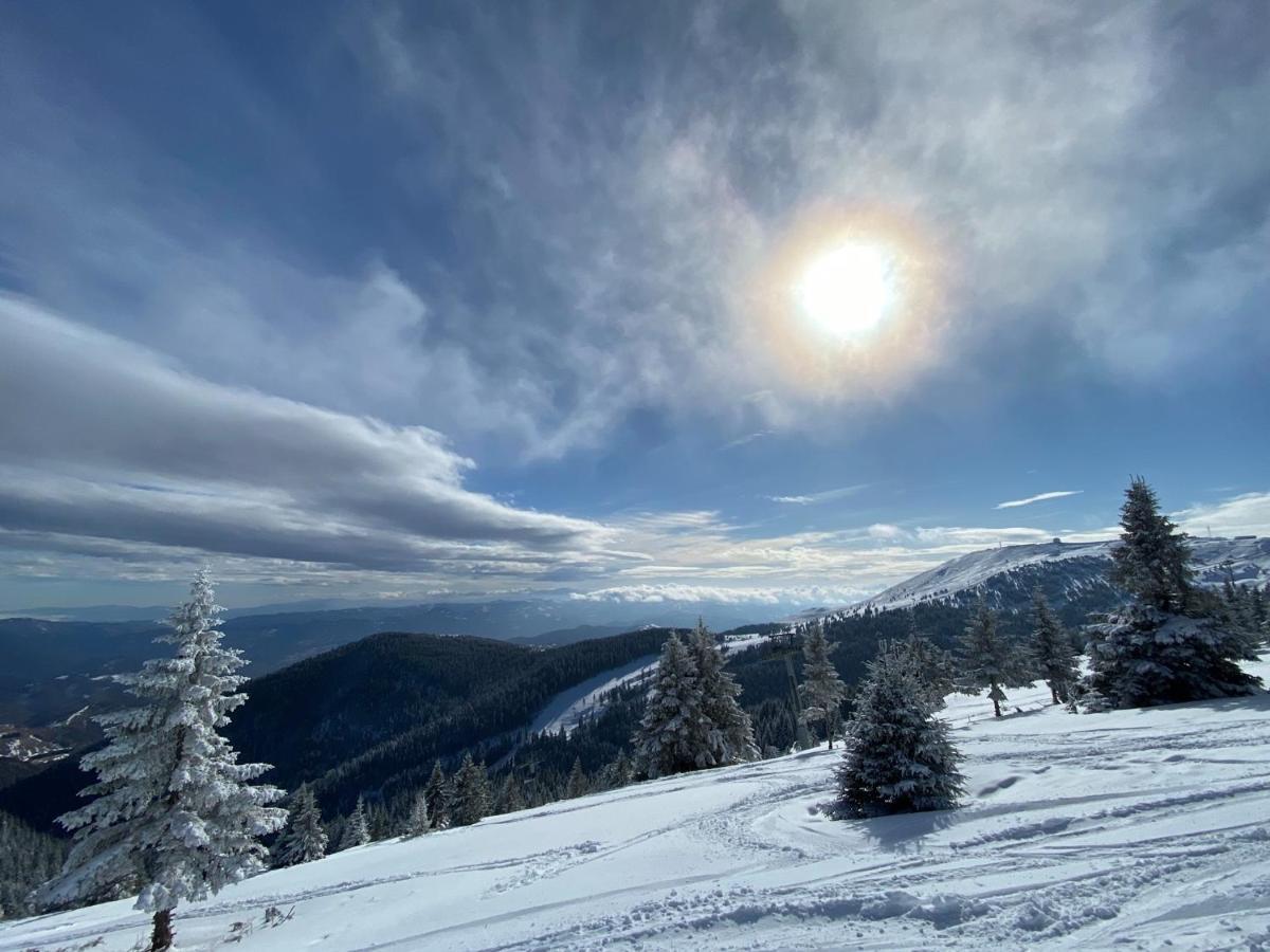 Ski & Spa Apartment S20 Milmari Resort Kopaonik Ngoại thất bức ảnh