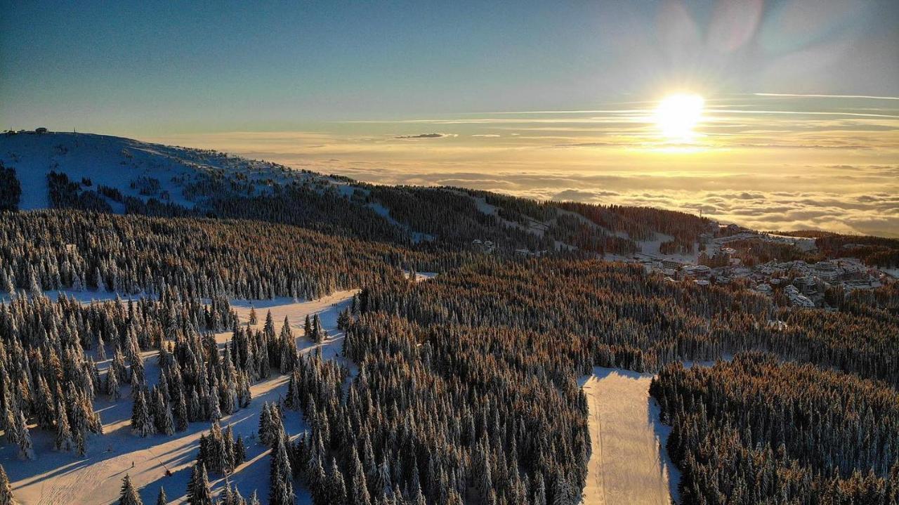 Ski & Spa Apartment S20 Milmari Resort Kopaonik Ngoại thất bức ảnh