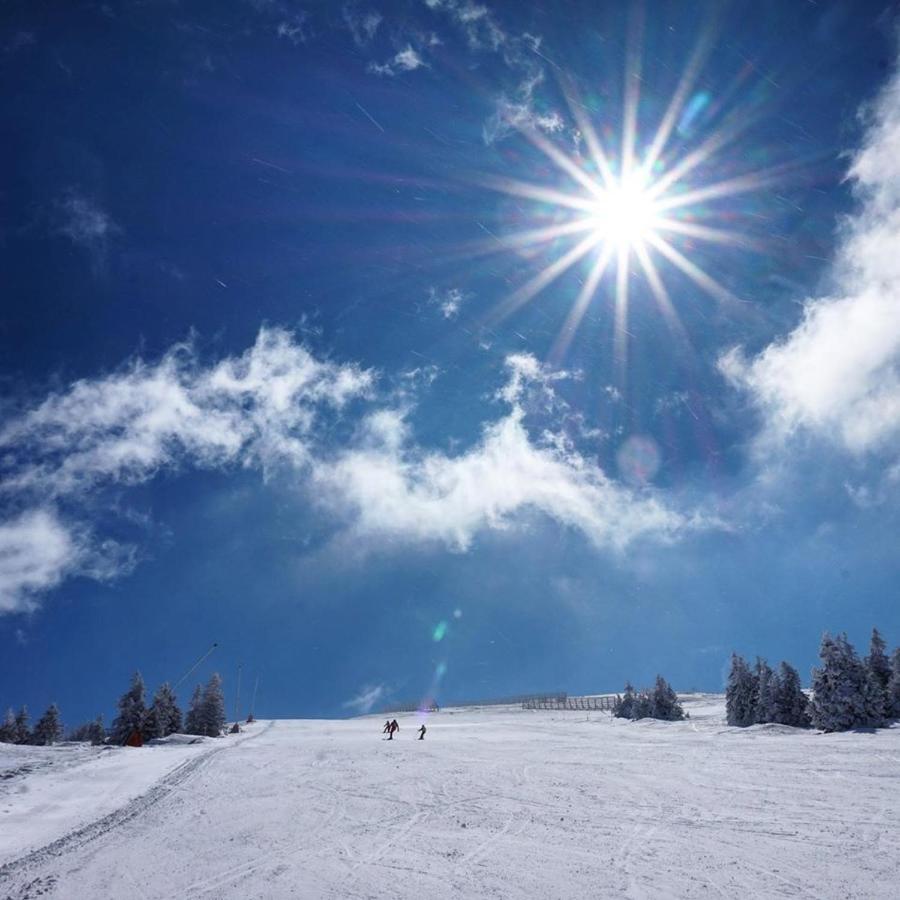 Ski & Spa Apartment S20 Milmari Resort Kopaonik Ngoại thất bức ảnh