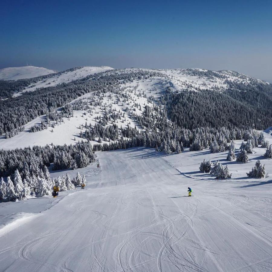 Ski & Spa Apartment S20 Milmari Resort Kopaonik Ngoại thất bức ảnh