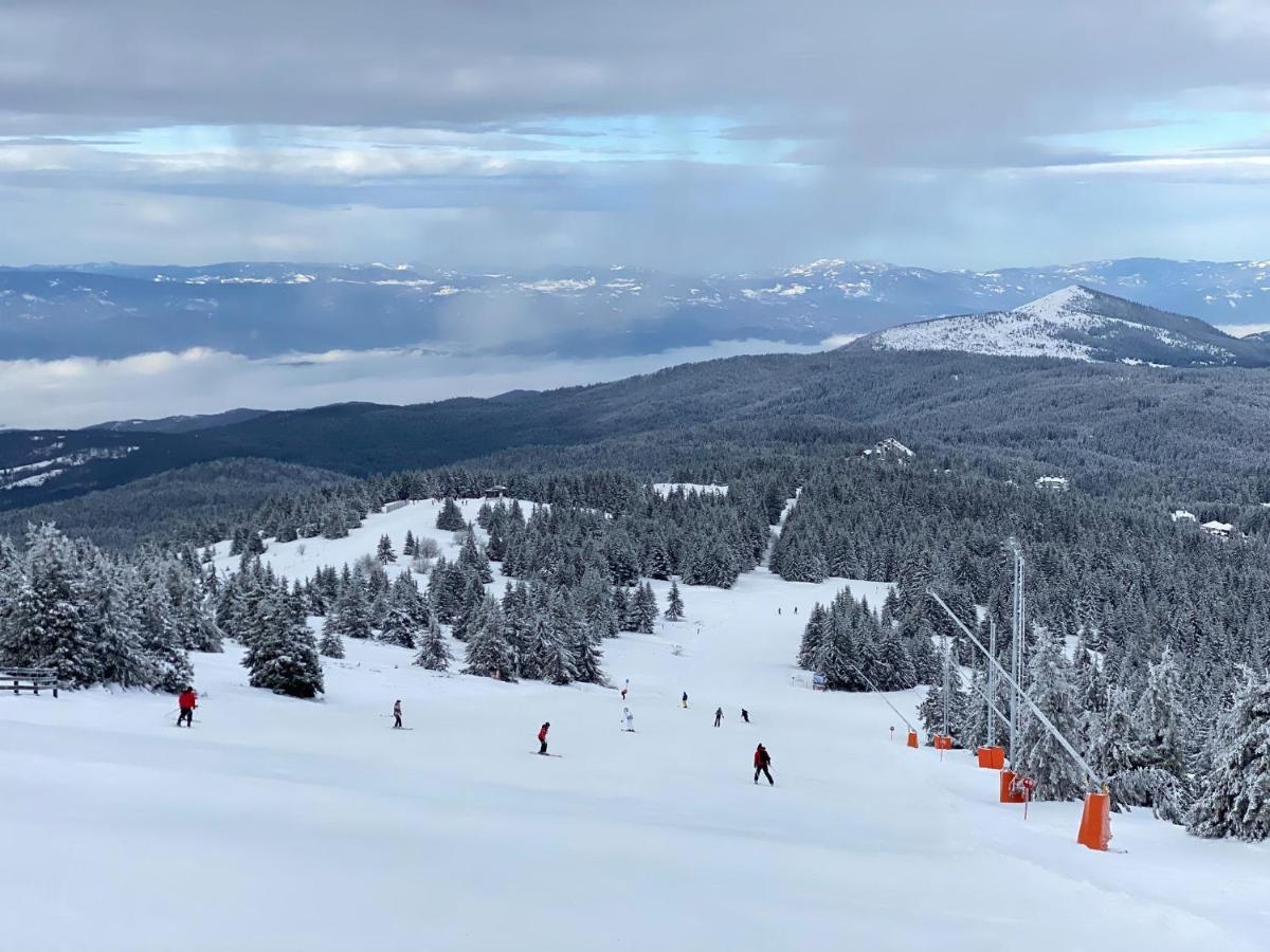 Ski & Spa Apartment S20 Milmari Resort Kopaonik Ngoại thất bức ảnh